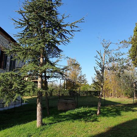 Podere Il Poggio Asciano Kültér fotó