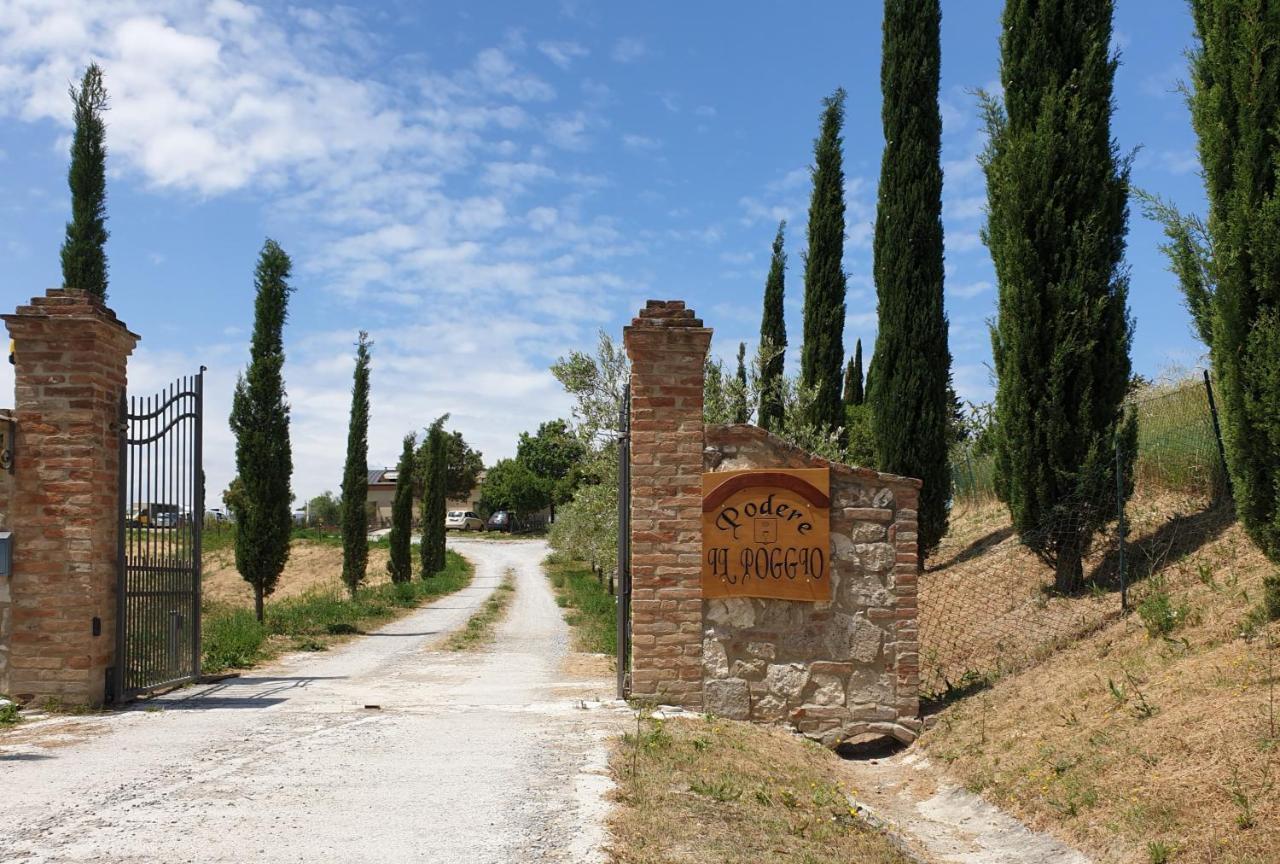 Podere Il Poggio Asciano Kültér fotó