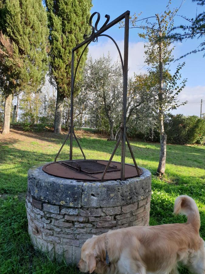 Podere Il Poggio Asciano Kültér fotó