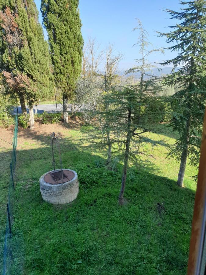 Podere Il Poggio Asciano Kültér fotó